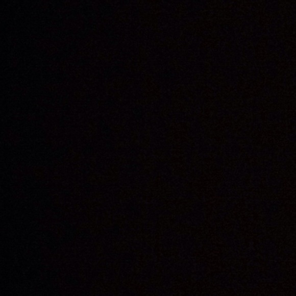 Meet your Posher, Bella - Picture 1 of 1